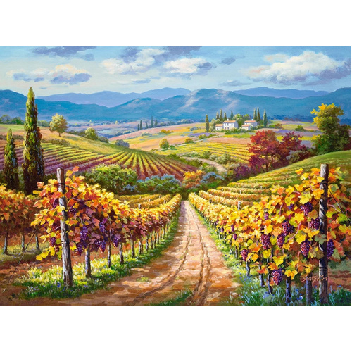 Castorland - Vineyard Hill Puzzle 3000pc