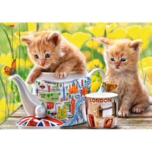 Castorland - Tea Time Puzzle 500pc