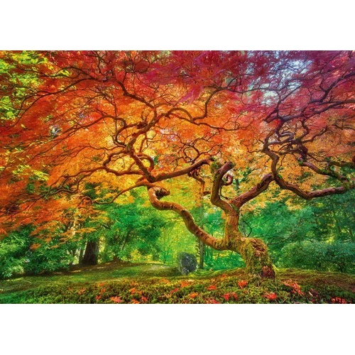 Cherry Pazzi - Arterial Spray Puzzle 1000pc