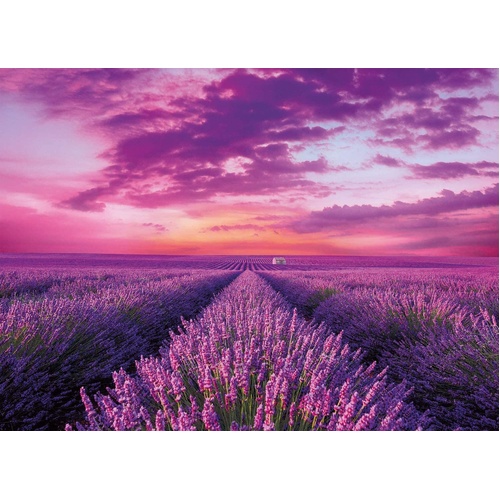 Clementoni - Lavender Field Puzzle 1000pc