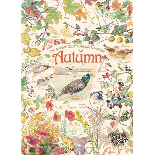 Cobble Hill - Country Diary: Autumn Puzzle 1000pc