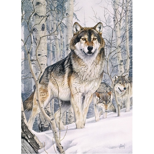 Cobble Hill - Second Glance Puzzle 1000pc