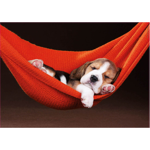 Educa - Sleeping In The Hammock Puzzle 500pc