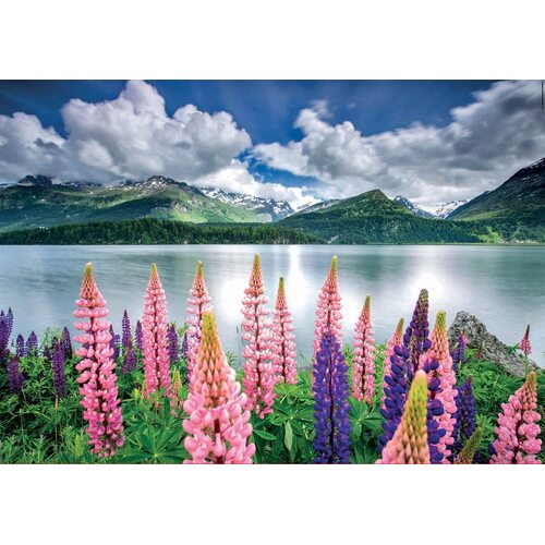 Educa - Lupis On Shores Of Lake Sils Puzzle 1500pc