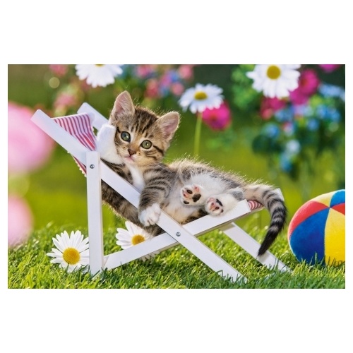 Buy Castorland Kitten with Toy Ball Puzzle 500pc
