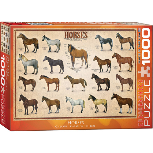 Eurographics - Horses Puzzle 1000pc