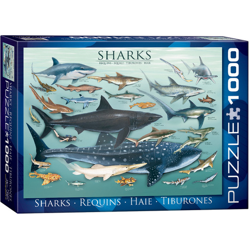 Eurographics - Sharks Puzzle 1000pc