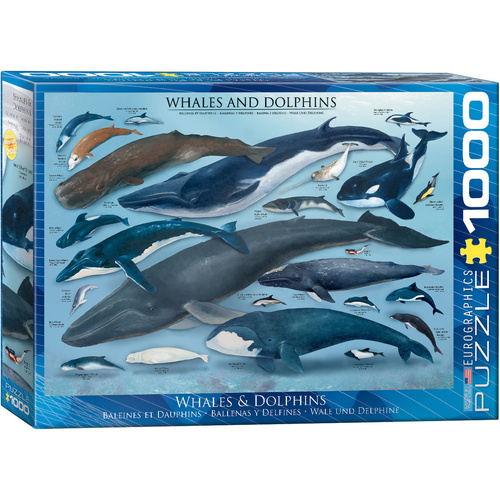 Eurographics - Whales & Dolphins Puzzle 1000pc