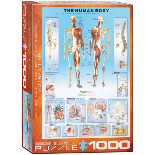 Eurographics - The Human Body Puzzle 1000pc