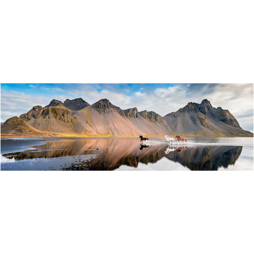 Heye - Iceland Horses Panorama Puzzle 1000pc
