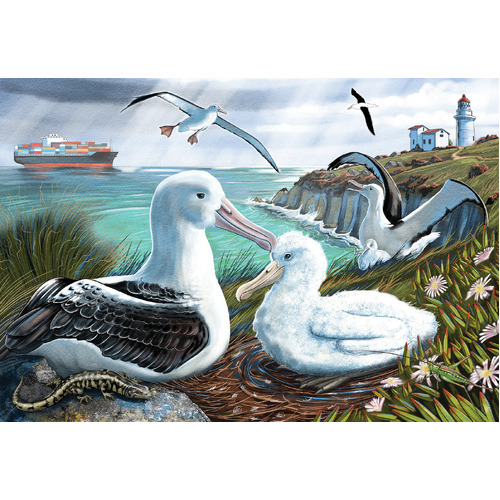 Holdson - Treasures of Aoteroa - Albatross Rookery Large Piece Puzzle 300pc