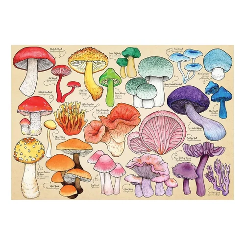 House of Puzzles - Mushroom Mania Puzzle 1000pc