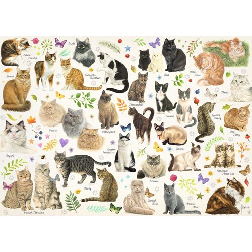 Jumbo - Cats Poster Puzzle 1000pc