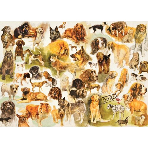 Jumbo - Dogs Poster Puzzle 1000pc