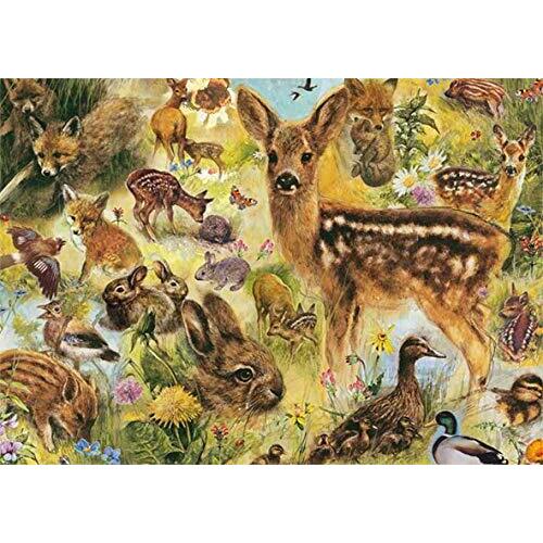 Jumbo - Young Wildlife Puzzle 1000pc