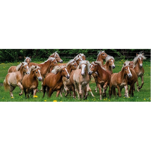 Jumbo - Halflinger Horses Panorama Puzzle 1000pc