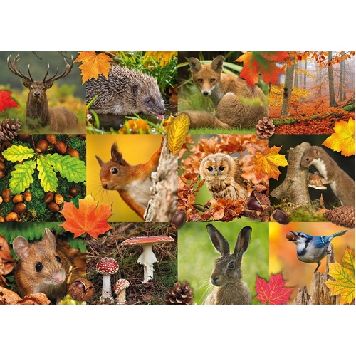 Jumbo - Autumn Animals Puzzle 1000pc