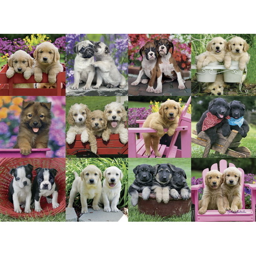 Ravensburger - Puppy Pals Puzzle 500pc 