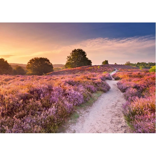 Ravensburger - Pink Pathway Puzzle 1000pc