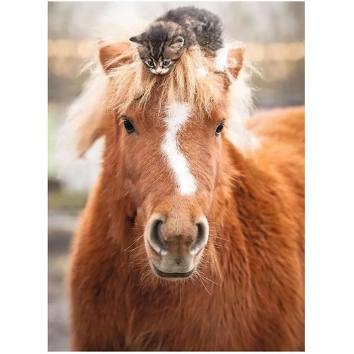 Ravensburger - The Little Rider Puzzle 500pc