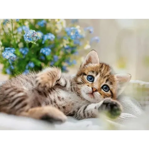 Ravensburger - A Bouquet of Sweetness Puzzle 500pc