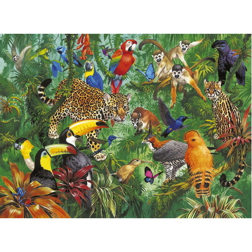 Taxi Wildlife - Jeu de société - Tric Trac