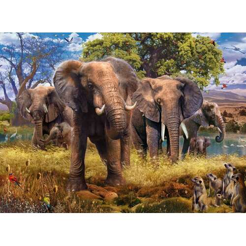 Ravensburger - Elephant Family Puzzle 500pc