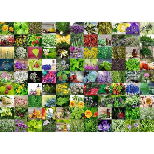 rarità * 1000 pezzi NUOVO 99 herbs and spices OVP RAVENSBURGER Puzzle 