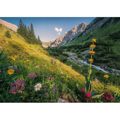 Ravensburger - Magical Valley Puzzle 1000pc
