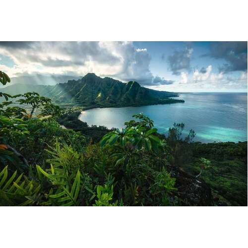 Ravensburger - Hawaiian Viewpoint Puzzle 5000pc