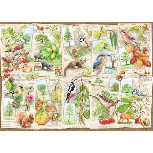 Ravensburger - Wondrous Trees Puzzle 1000pc