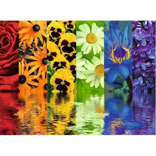 Ravensburger - Floral Reflections Puzzle 500pc