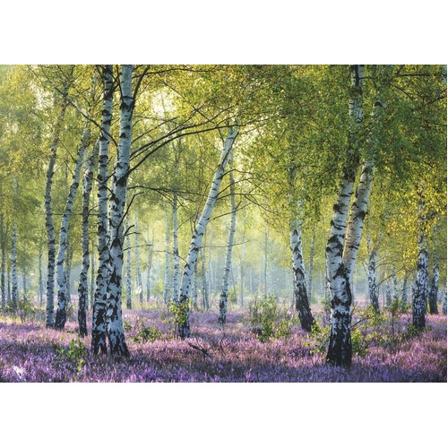 Ravensburger - Birch Forest Puzzle 1000pc