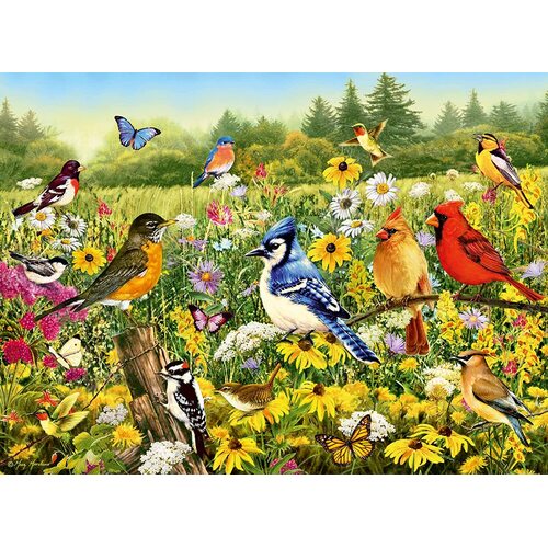 Ravensburger - Birds in the Meadow Puzzle 500pc