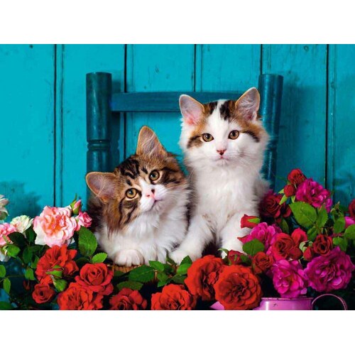 Ravensburger - Kittens and Roses Large Format Puzzle 500pc