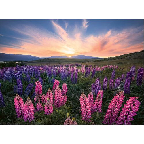 Ravensburger - Lupines Puzzle 500pc