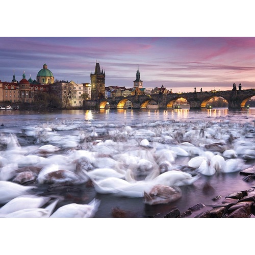 Schmidt - Prague, Swans Puzzle 1000pc