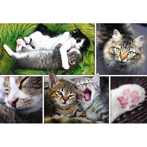 Trefl - Just Cat Things! Puzzle 1500pc