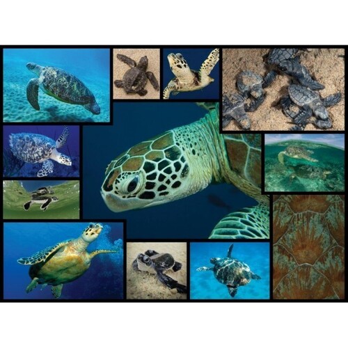 WWF - Sea Turtles Puzzle 1000pce